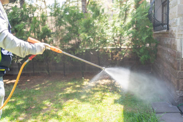 Professional Pest Control in North Liberty, IA